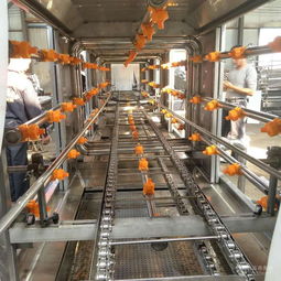 食品筐清洗消毒洗筐机与塑料筐高温清洗机价格解析及消毒服务介绍